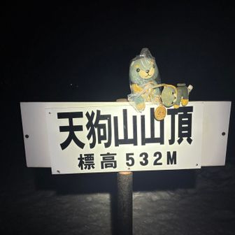 トウチョ🐶
ラッセル車が猛然と俺の真正面数メートルまで迫ってきて急ブレーキして「下山してください」って🤣
威圧し過ぎ。。
やっくさんが許可もらってたから冷静に対処したけど、ガチなら･･･
塩丸で同じことされたら遠藤から穴滝の洞窟まで連れて行ってたな･･･