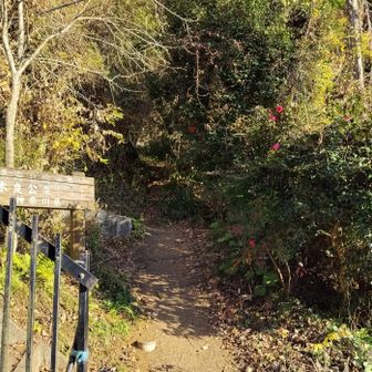 登山道入口。平日だし、いないよね人