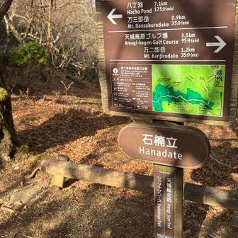 石楠立と書いて「ハナダテ」と読む不思議⁇
石楠花の木がいっぱいあった。