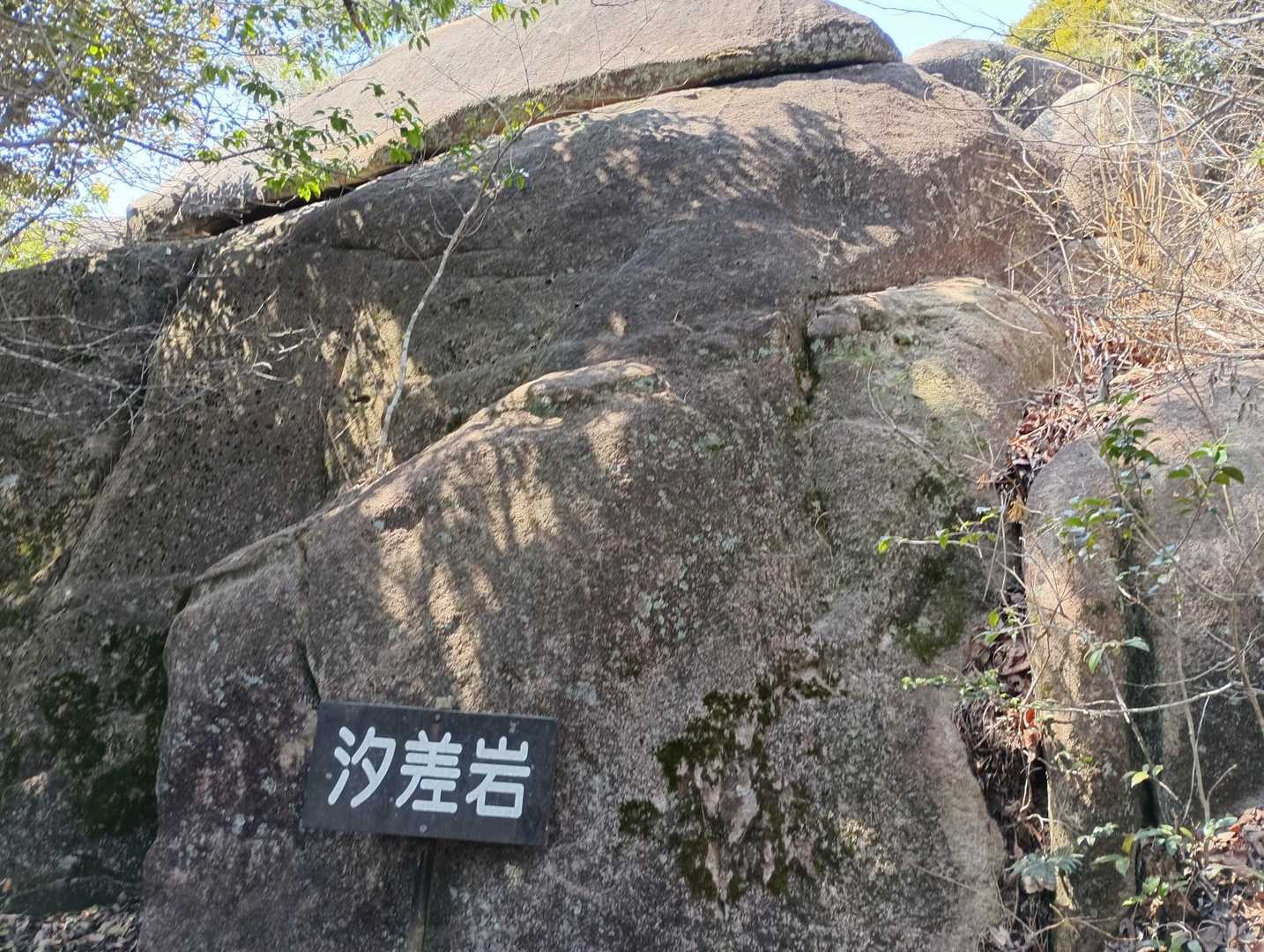 奇岩品評会じゃ