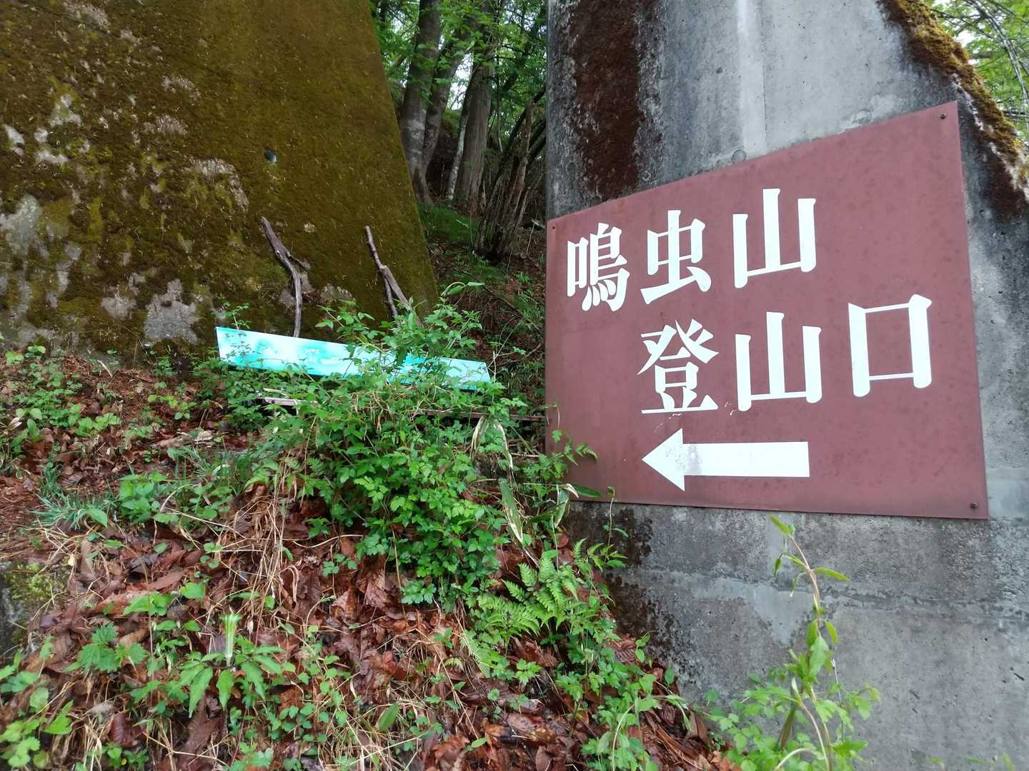ここを登る