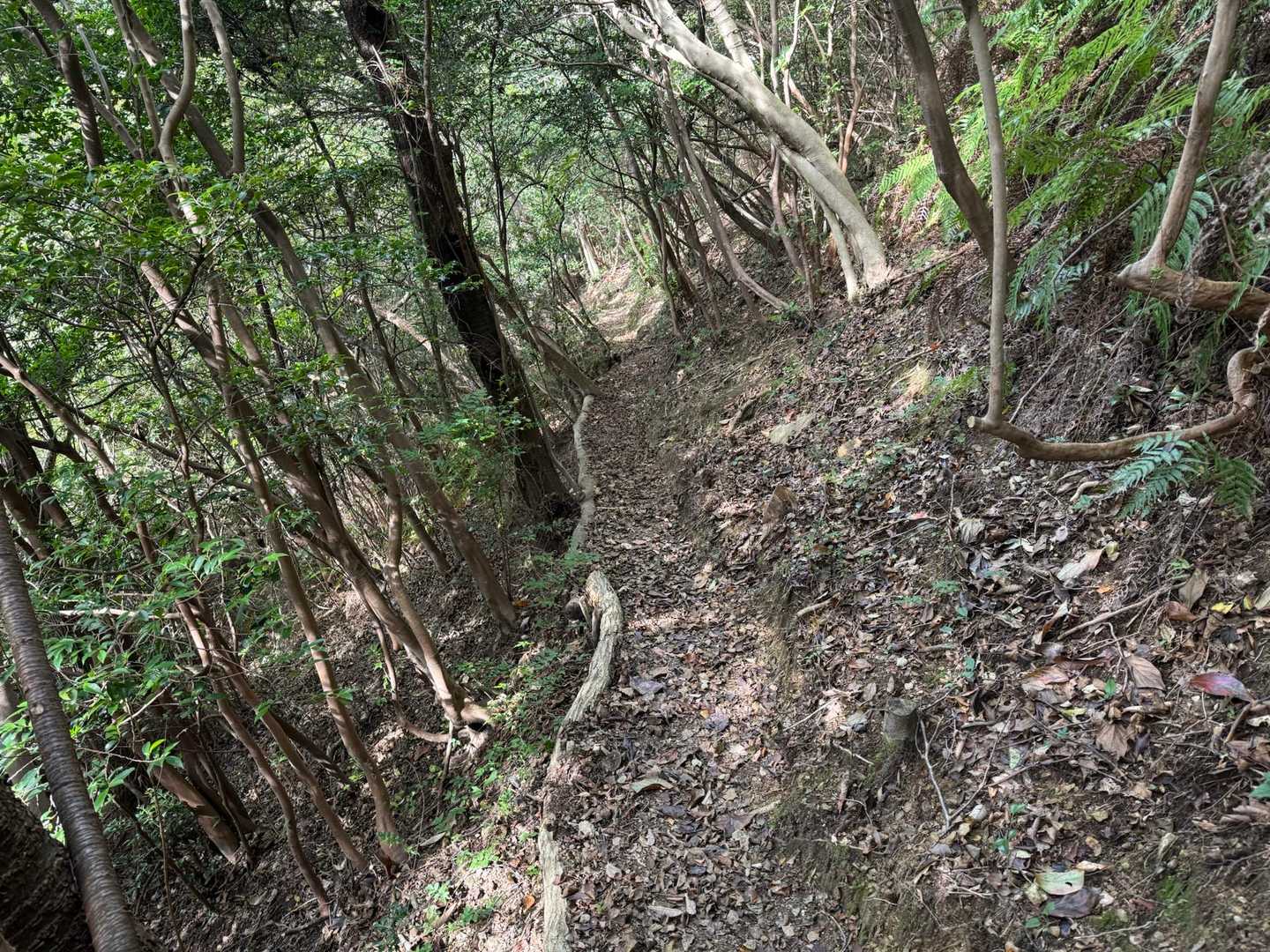 帰りはトラバース道
狭い所が多いので、お気をつけて。