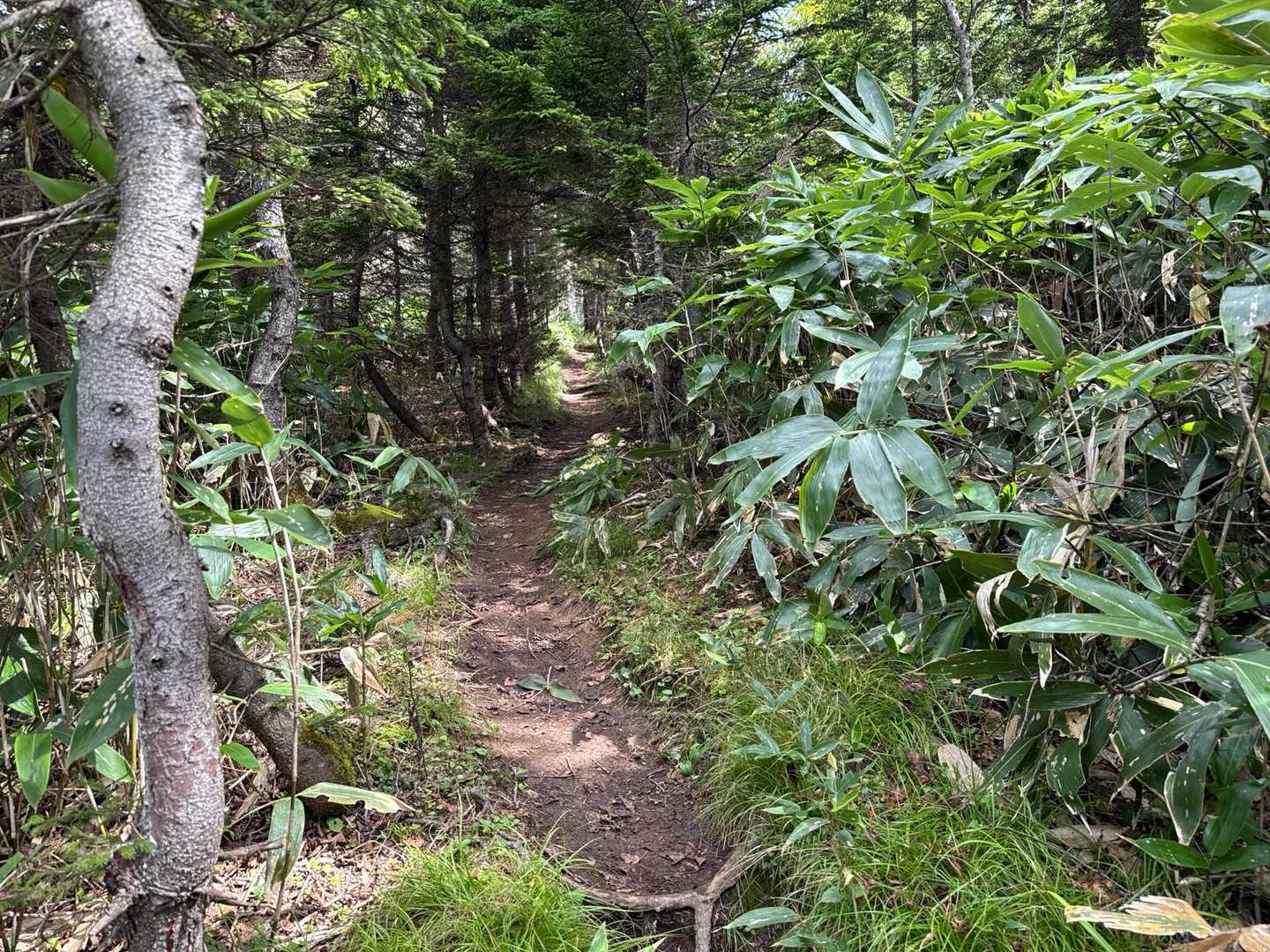 トンネル😄