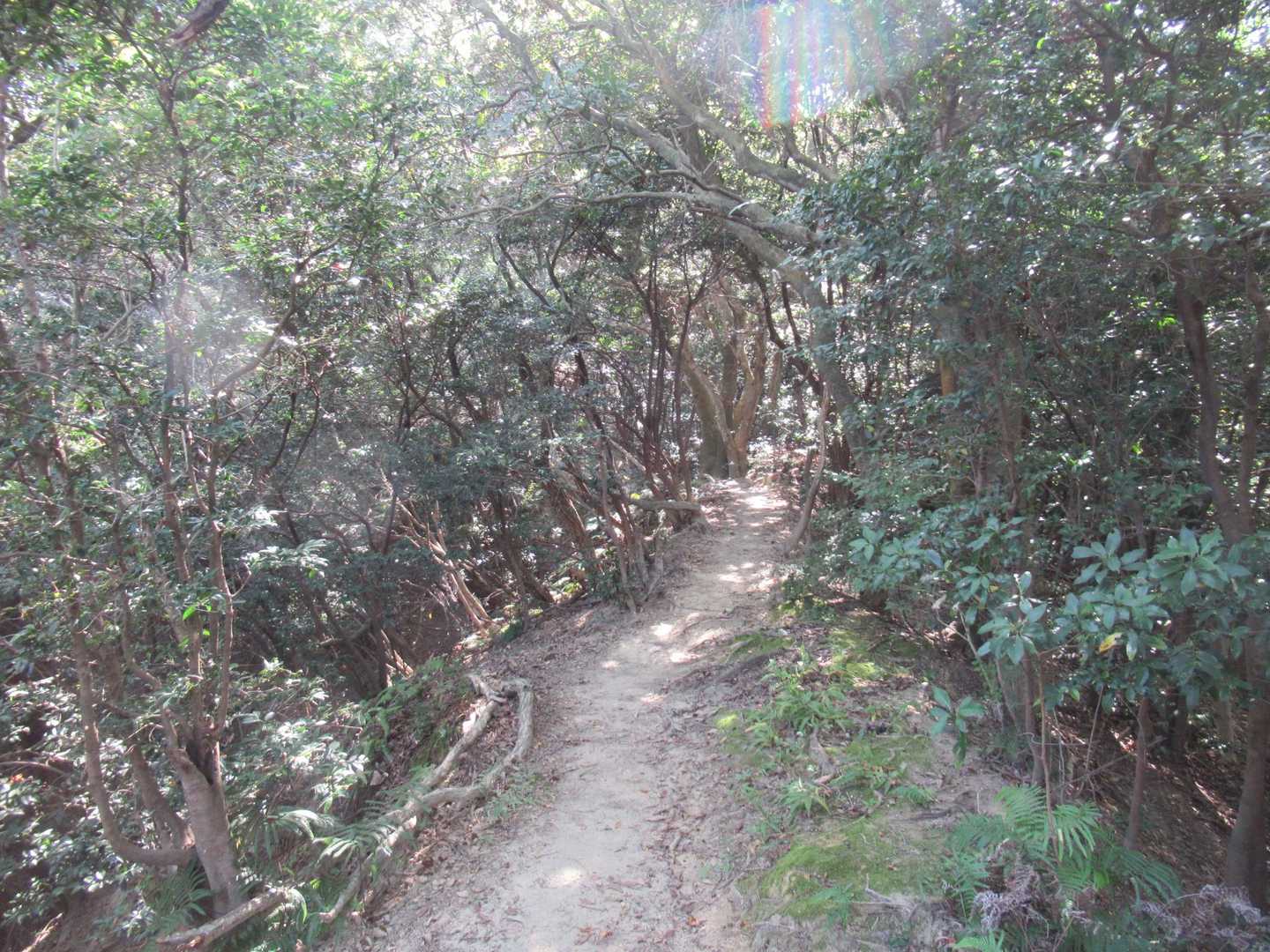 片縄山-糠塚山 往復コースの写真