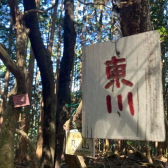 ピーク②
白ピークなので当然ですが、決まった道は見つけられなかった。