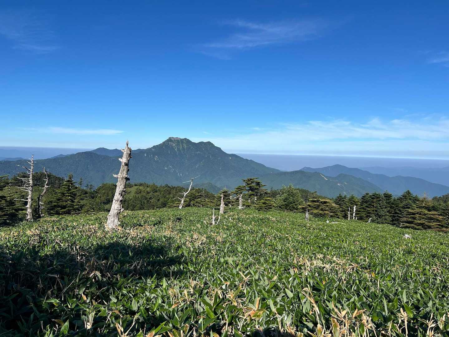 瓶ヶ森登山口発着｜四国最高峰を眺望する瓶ヶ森 周回コースの写真