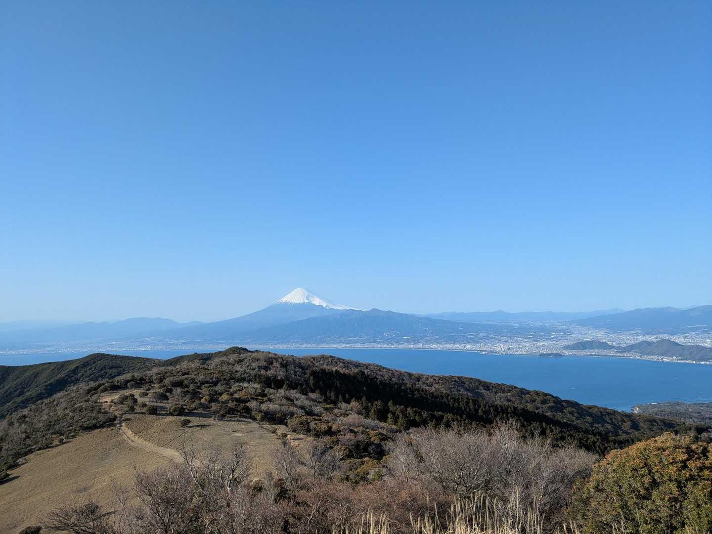 戸田峠-金冠山-小達磨山 周回コースの写真