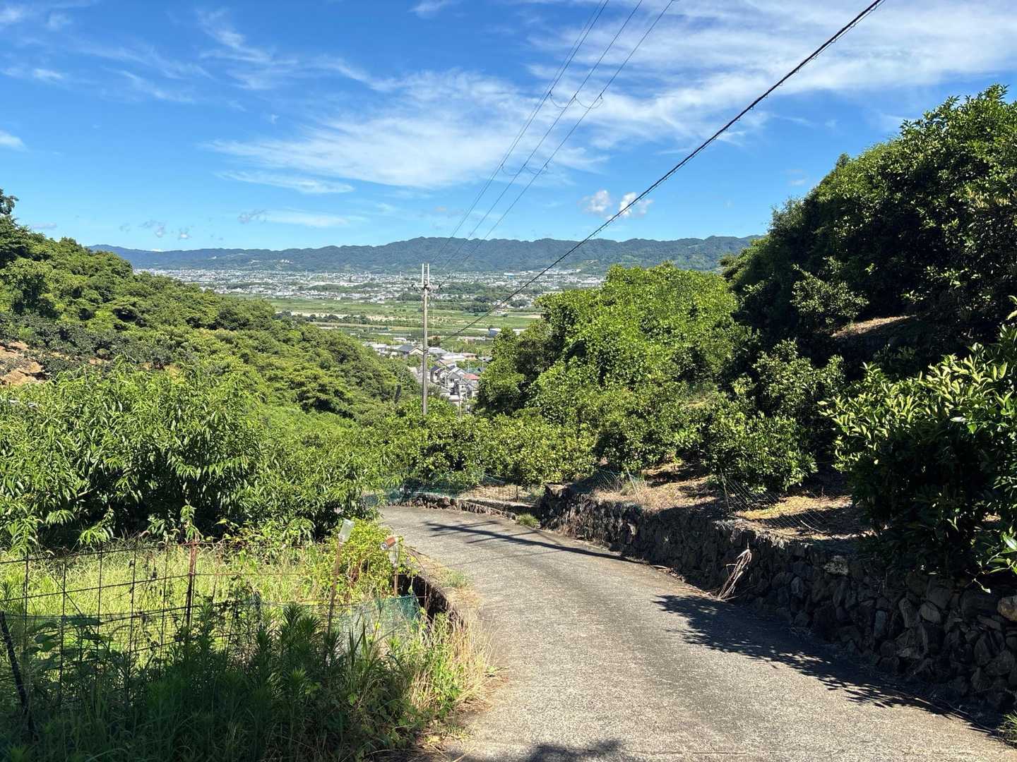 龍門山 往復コースの写真