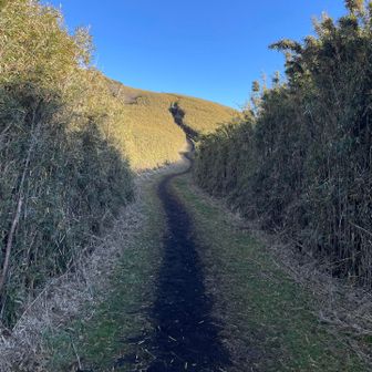 これはワクワクする