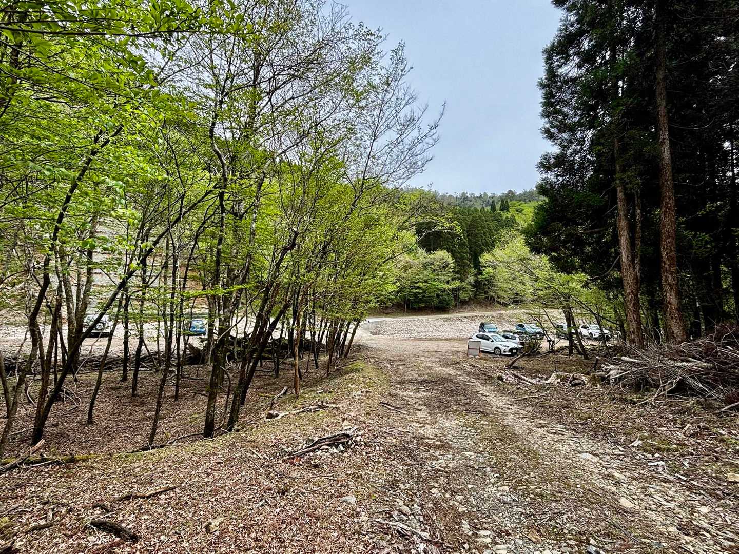 癒され続けて下山
駐車スペースの車は朝4台、下山時9台
賑わいを物語っていました