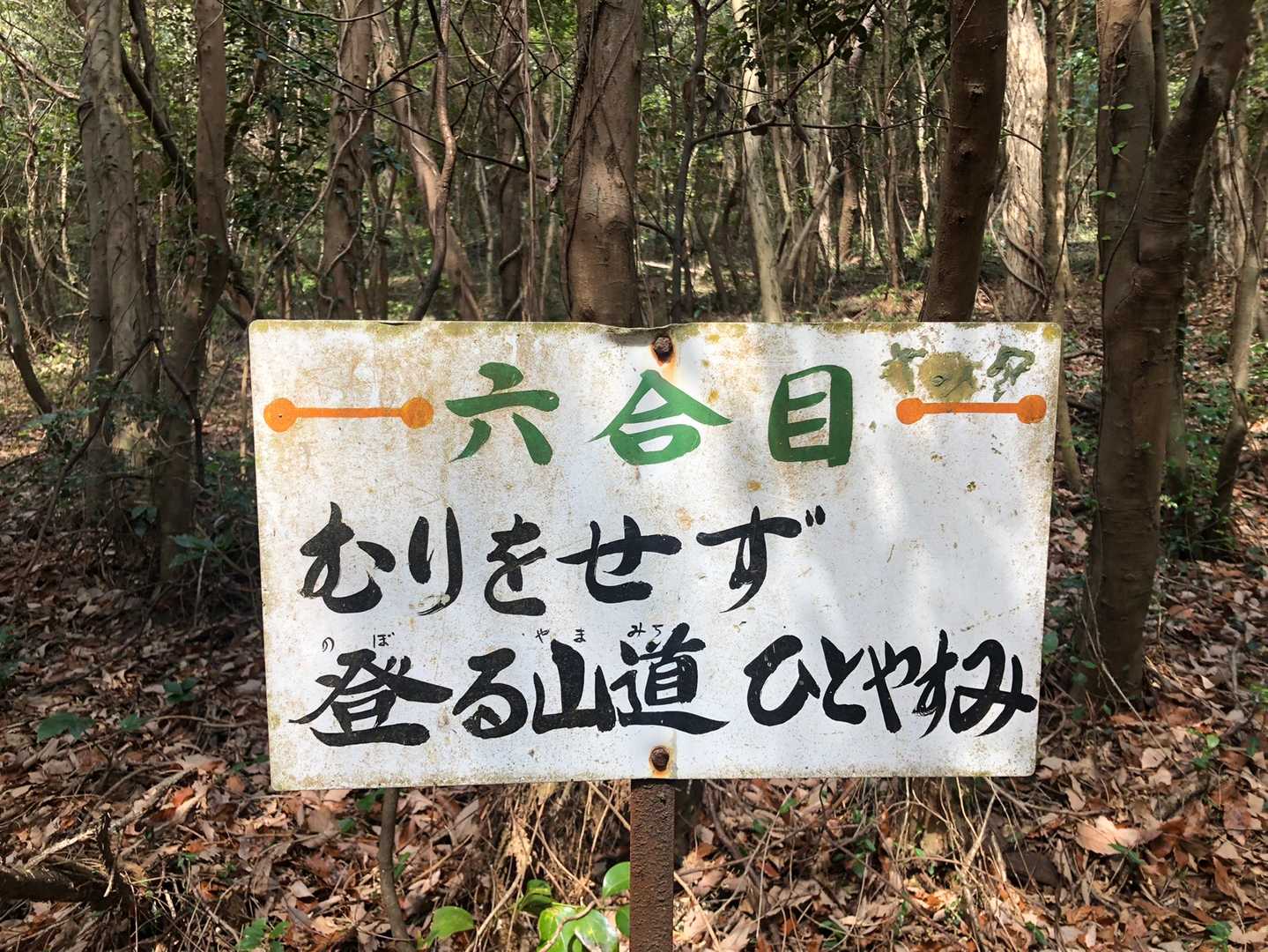 蔵王山 往復コースの写真