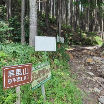 笹平登山口からは初めてです
緩く歩きやすい道でした

登山口までGoogleにR19から牧場横を通る狭い道を案内されたんだが、山岡おばあちゃん市から来たらよかった😅いらん神経使いました