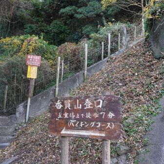 サクッと下山。