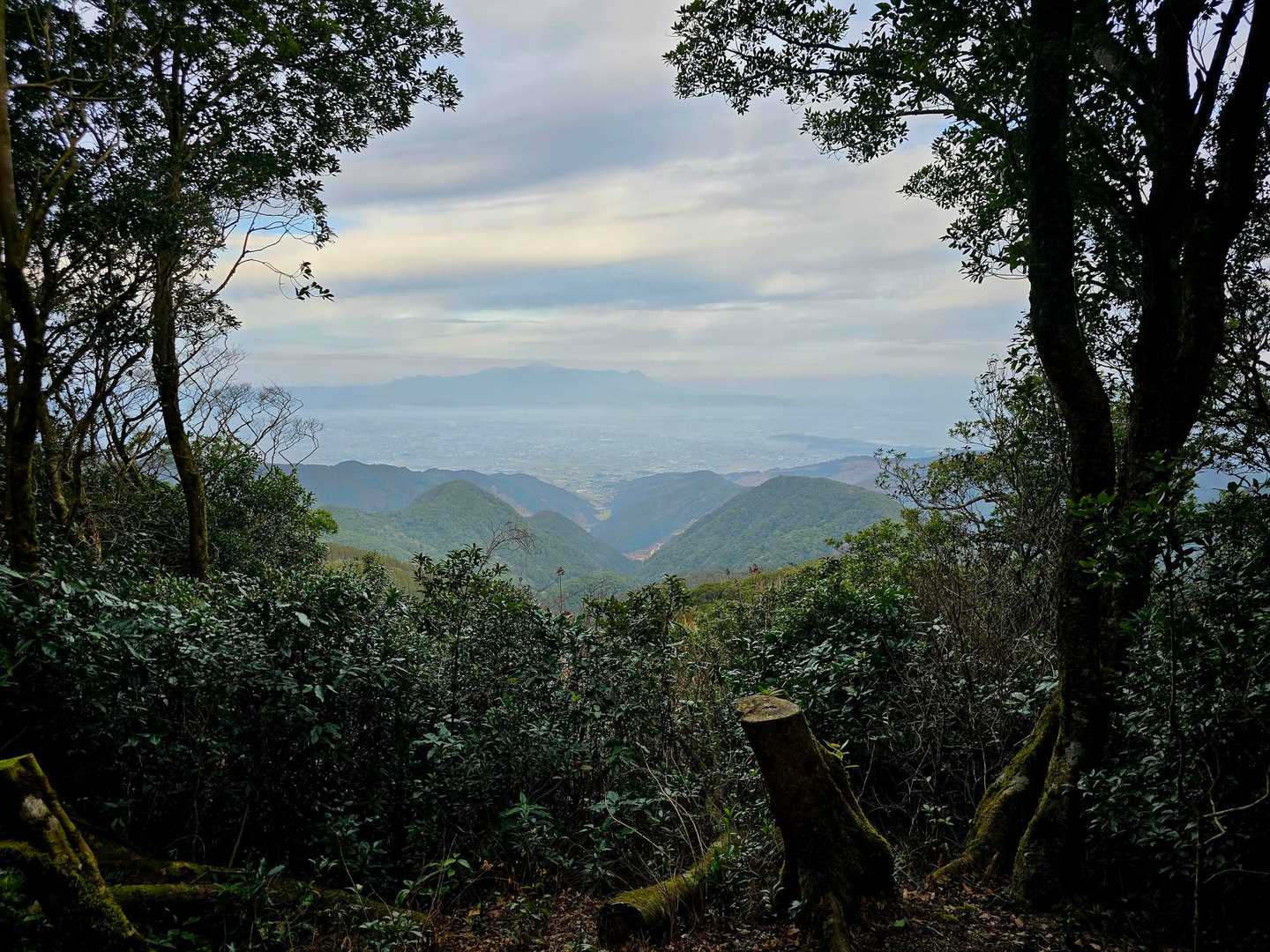 おぉ窓の向こうに霧島連山が📸✨️