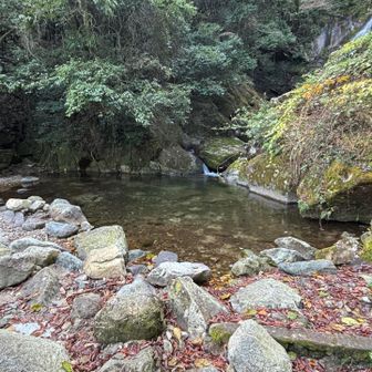 滝の下流の水辺。キレイです。