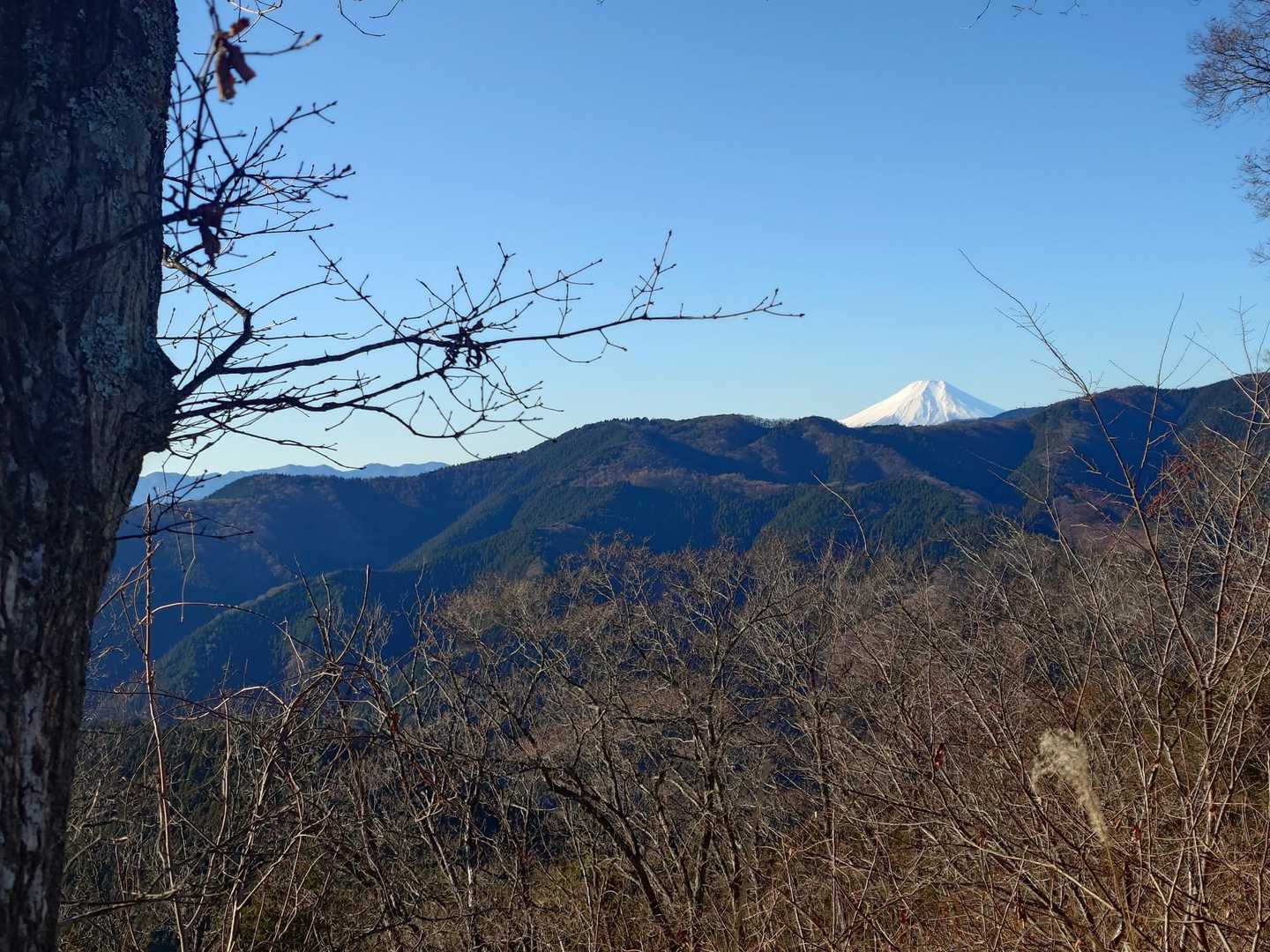 笹平バス停-松生山登山口-内蔵ノ助山-払沢ノ峰-天領山-上 縦走コースの写真