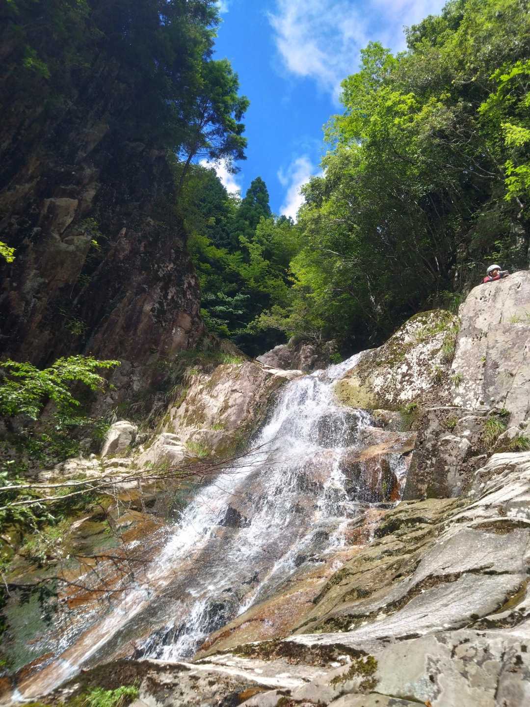 青と緑と滝の白さが映えます