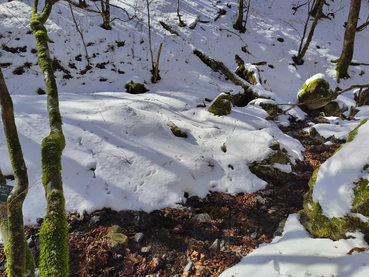 旧歩道へ
水量少なく渡渉もラクラク
ラクラク明細