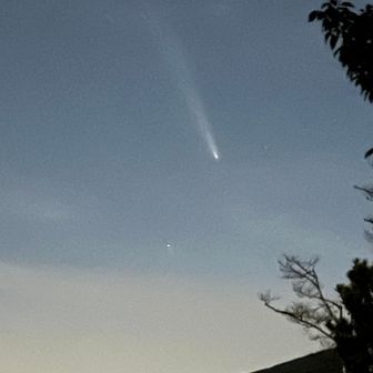 Ｔfighterになります。