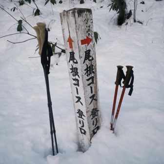 安心しました😮‍💨