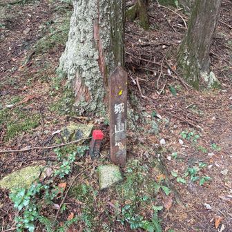 分岐に道標
どっちか矢印がなくて
➡️を選択

左だと尾根道に繋がる直登りぽいです
右はトラバースぽくゆるやかに尾根道に辿り着きました
どっちからでも登れそう