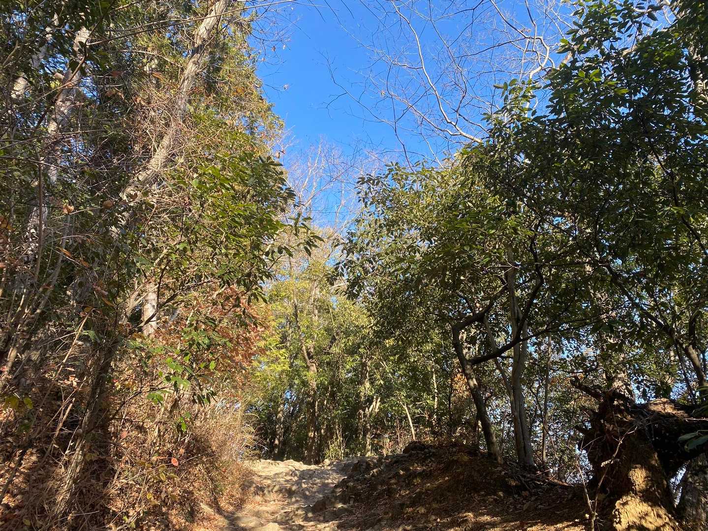 今日も、天気☀️が良く楽しい登山となりました😊