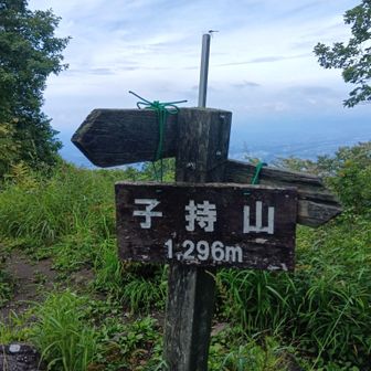 往路、子持山山頂。