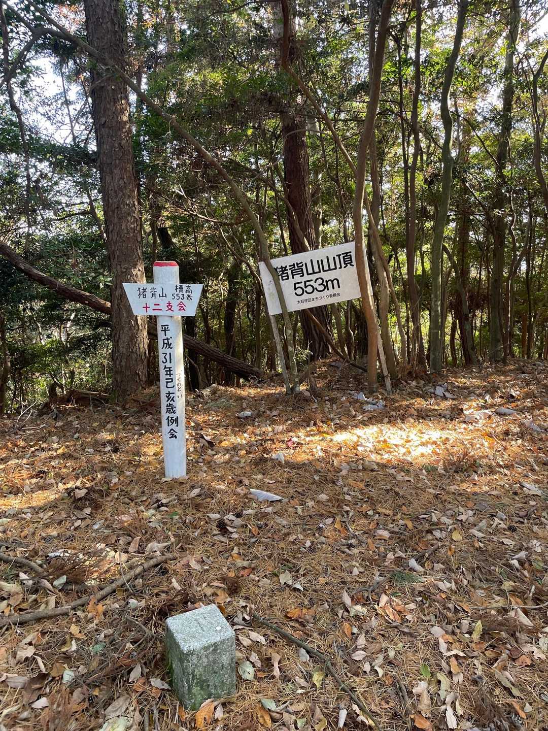 滋賀 猪背山【近江百山】・黒山【近江百山】 / 🇬🇧TOYO-P🇺🇸の