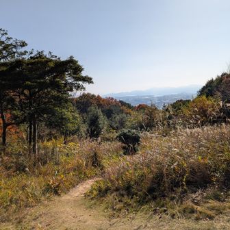 こここからも下りる道が……