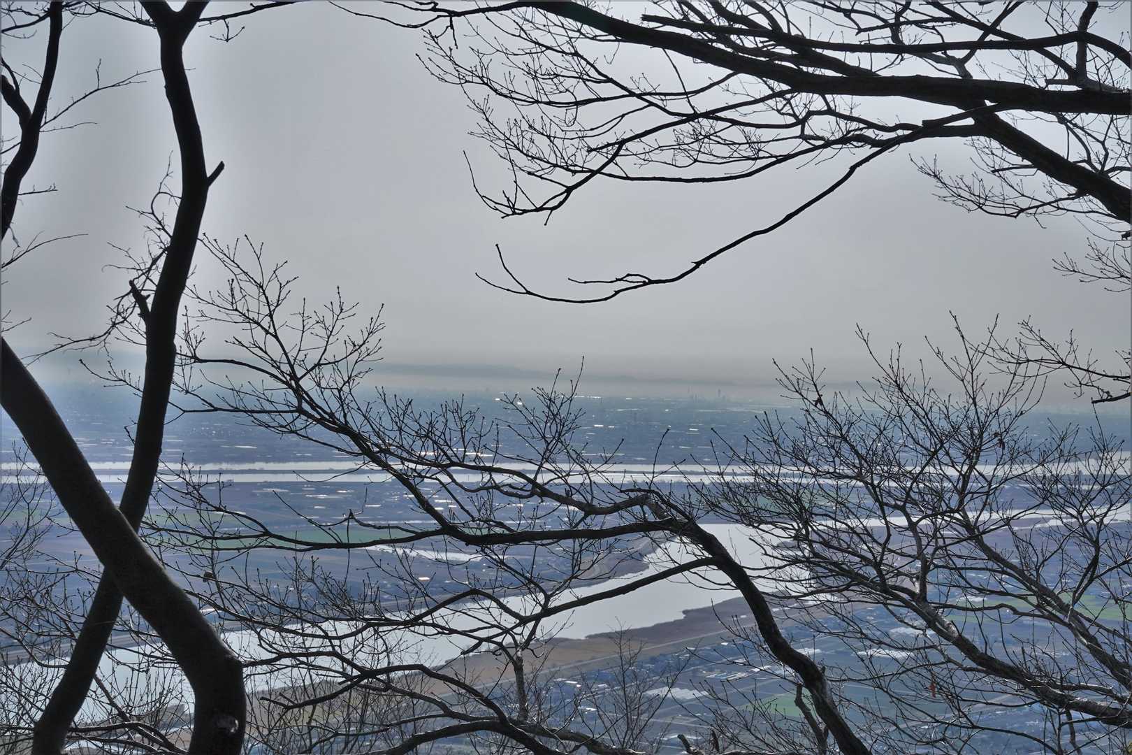 今日は足が重い……