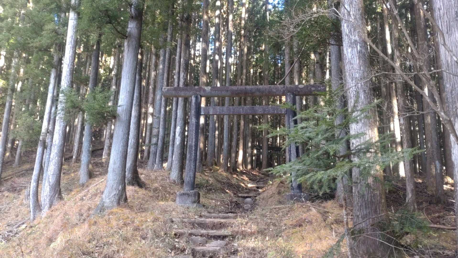 外山 往復コースの写真