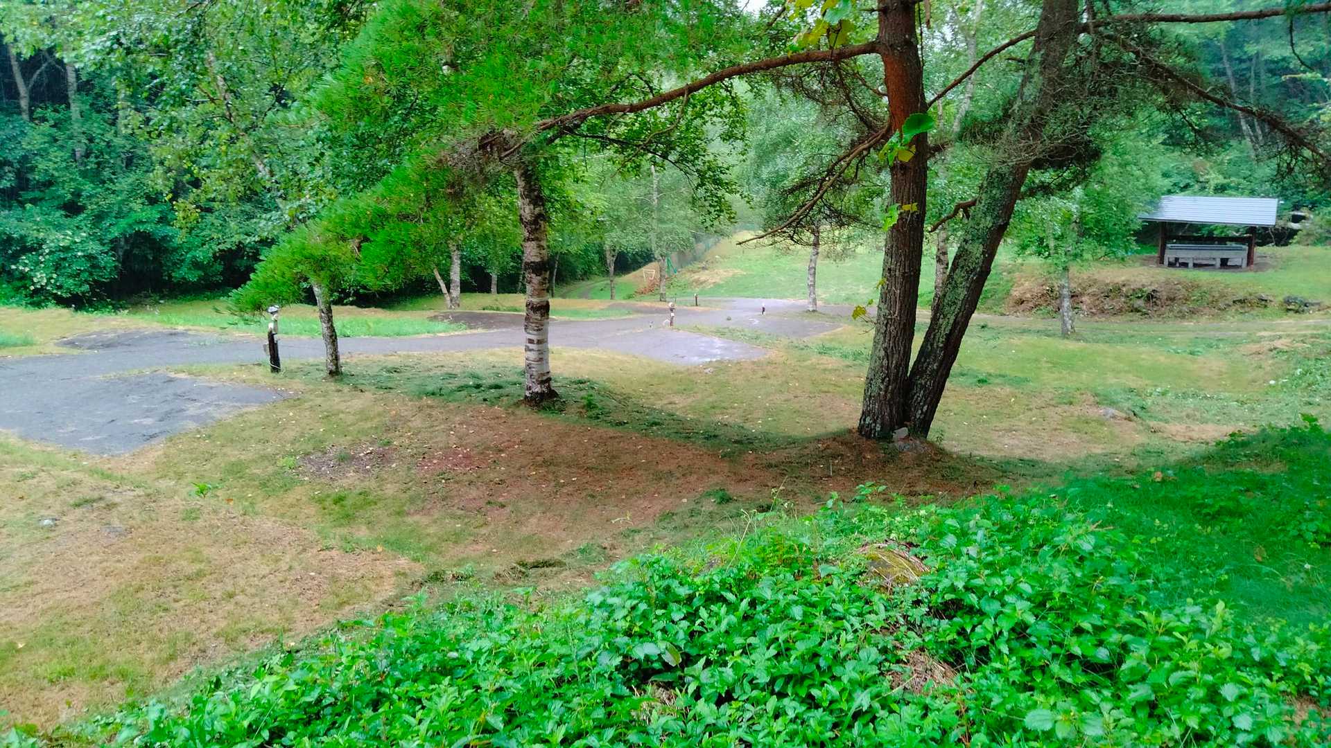 桜清水キャンプ場