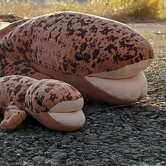 テテ🫠とトト🙂‍↕️