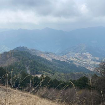 登り上げて良いビュー。さすが日本百低山