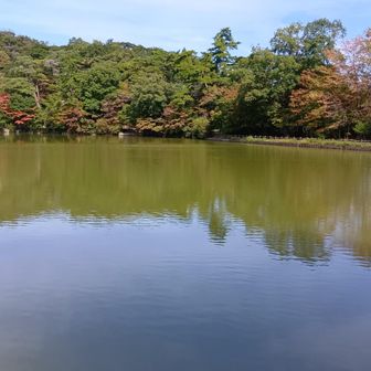 修法ケ原池