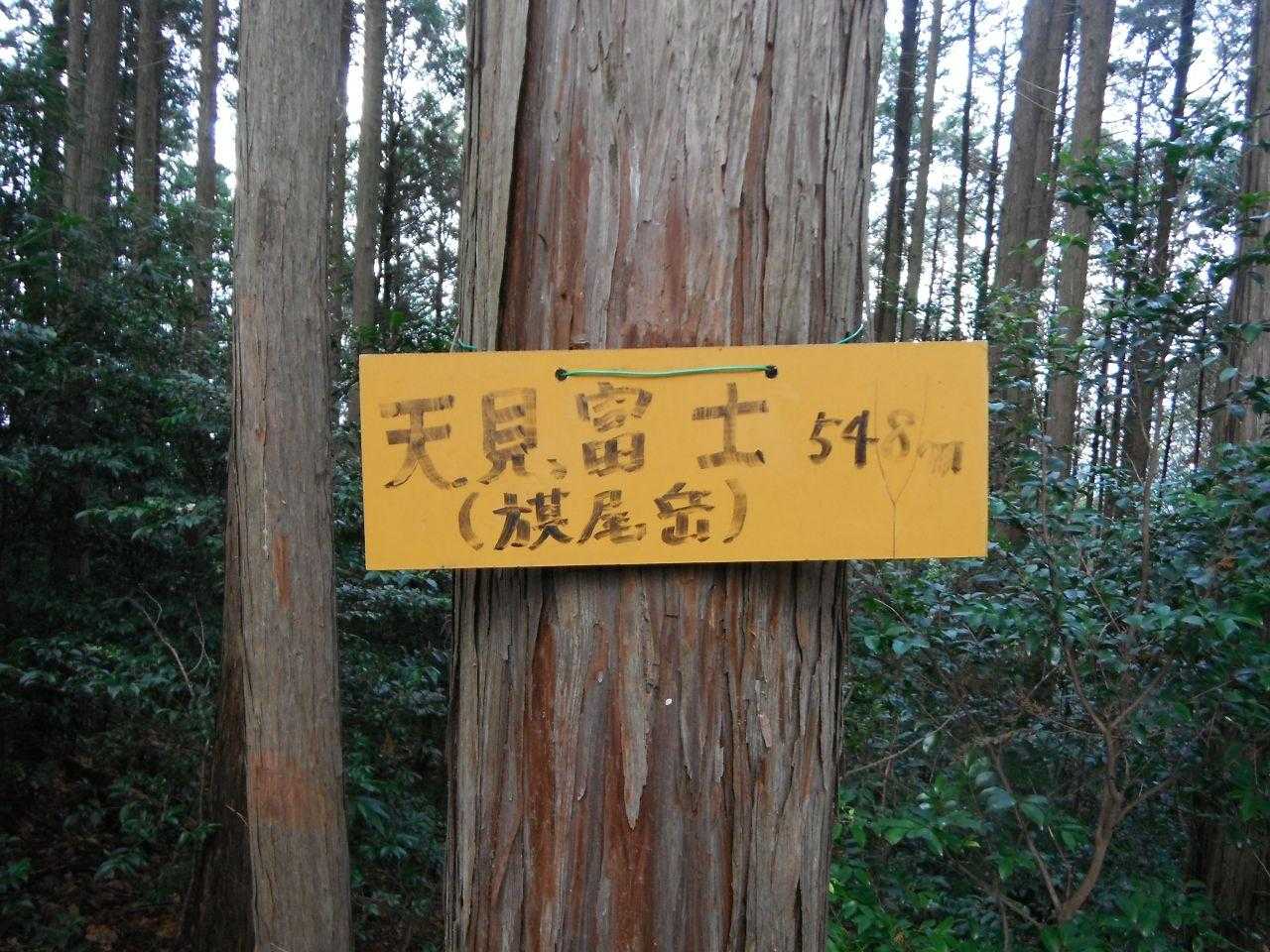 旗尾岳到着。地元の人からは「天見富士」と言われているようです。