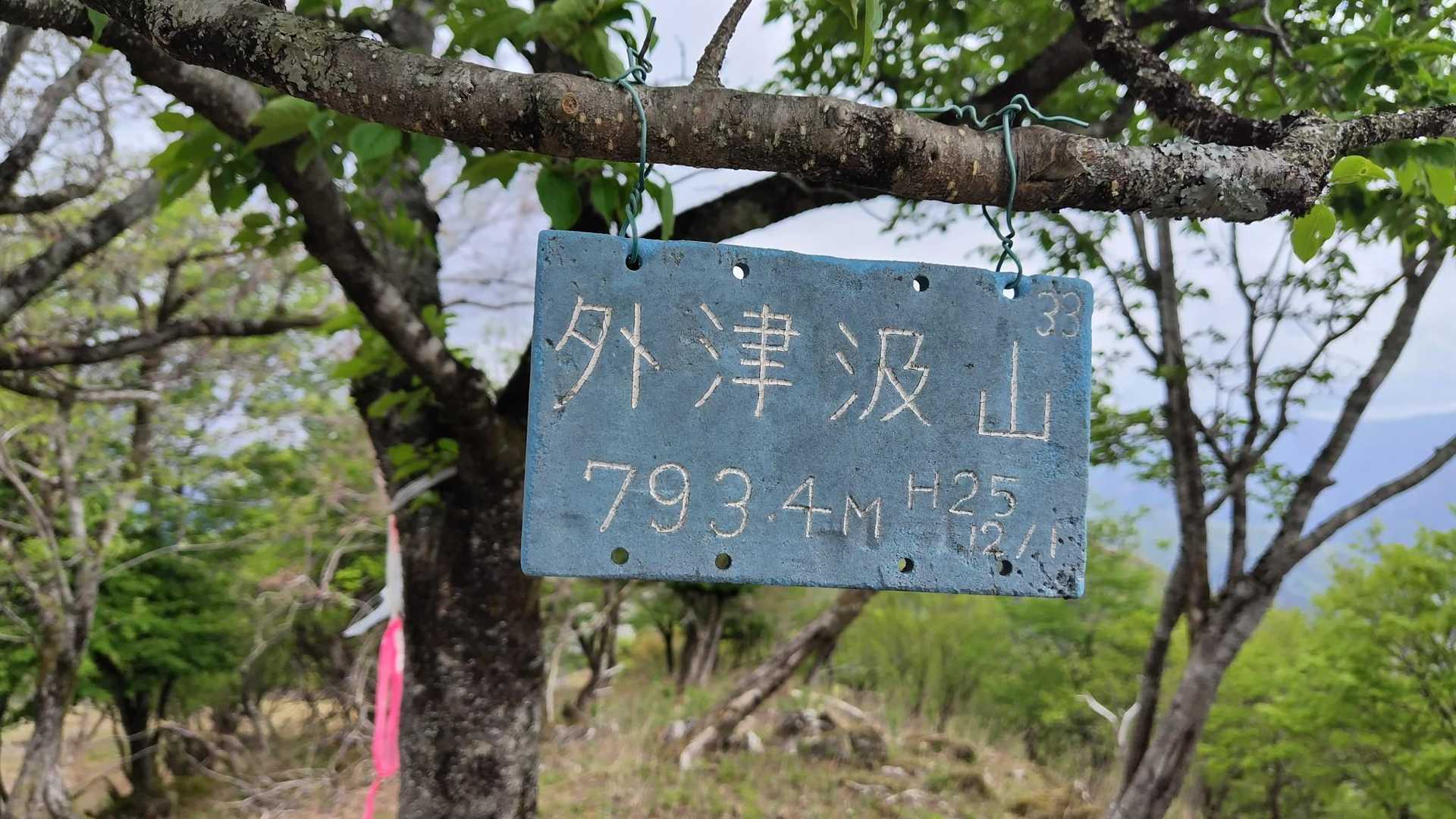飯盛山-西津汲 往復コースの写真
