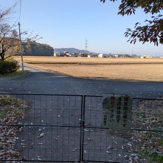 フェンスを開けて入った