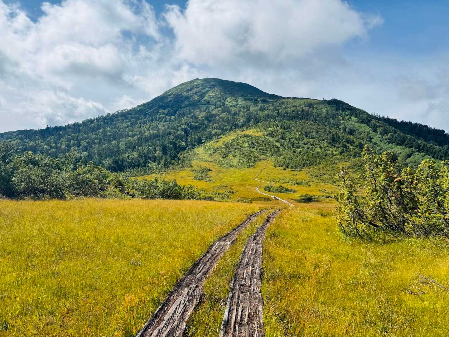 湿地を抜けて燧ヶ岳へ
尾瀬っぽい〜♨️