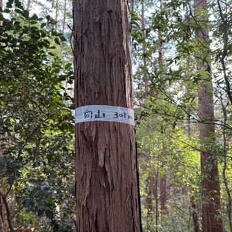 グレーピーク二つ目
富士山より大変だった