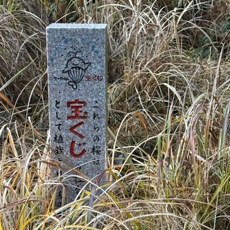 グループの皆さんは馬見山に向けて行かれたので、ソロの自分はゆっくり江川岳を目指します🚶🏻♪