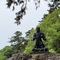 Taro