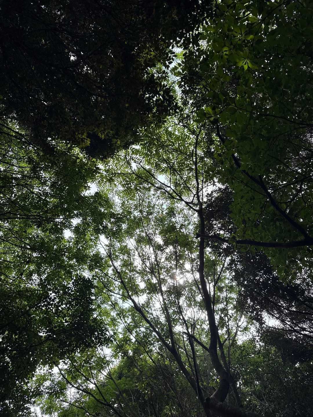 気持ちいい山歩でした✨