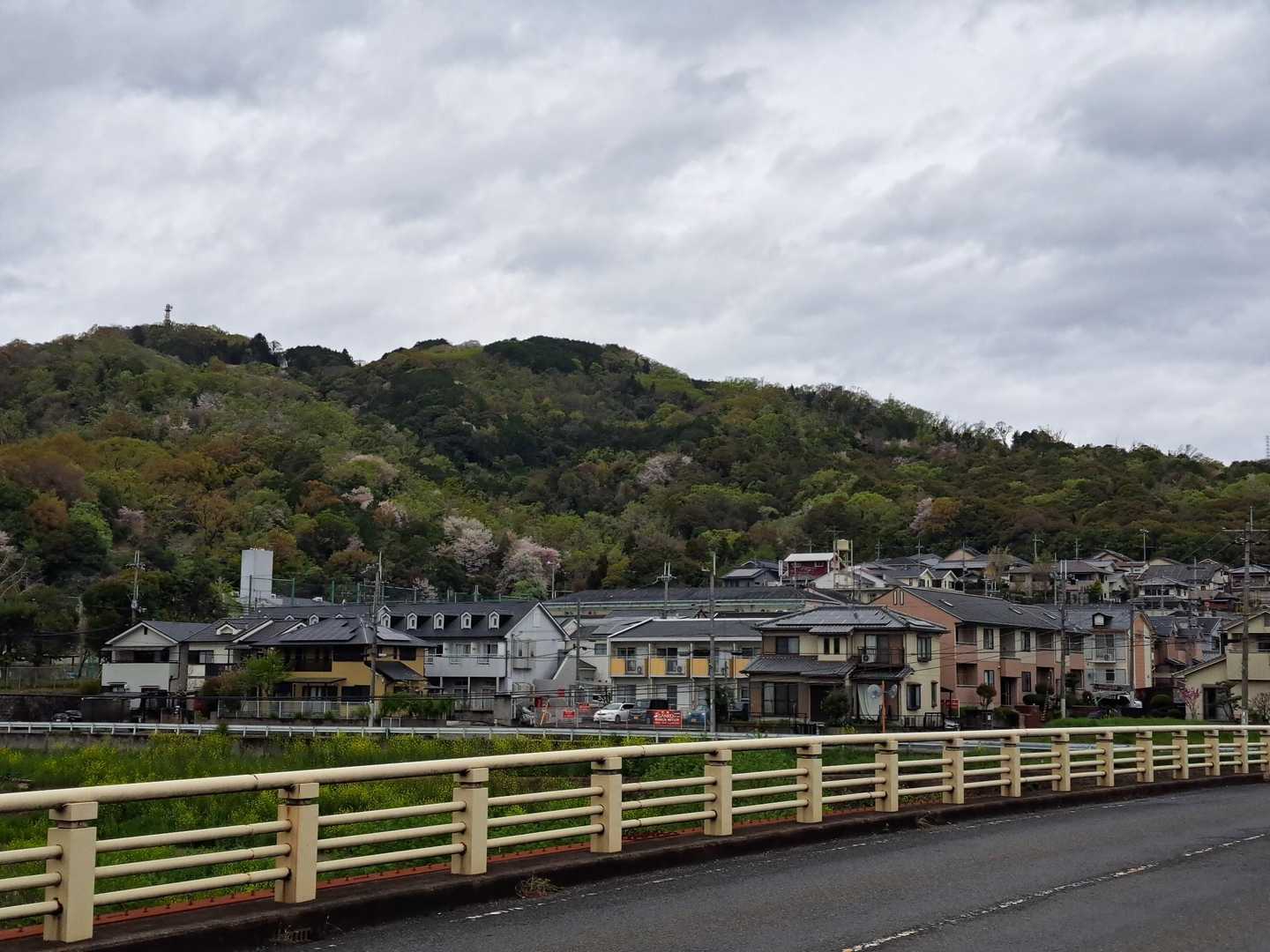振り返って、さっきまでいた三室山🗻