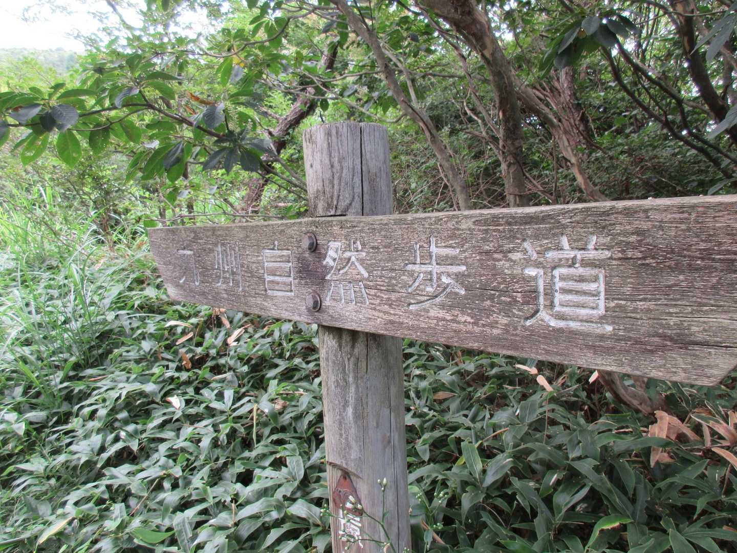 ほほ～～～
ココは九州自然歩道なんだ。