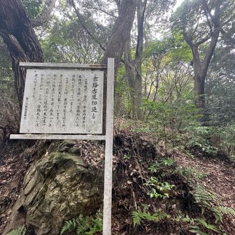 今日は私の体調が万全ではないので、山飯会にしてもらいました🤧🙏