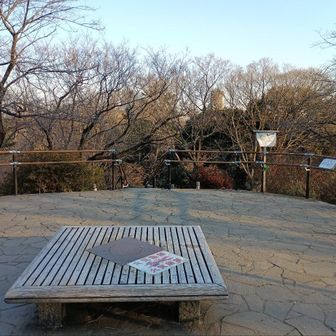 箱根山からの眺望