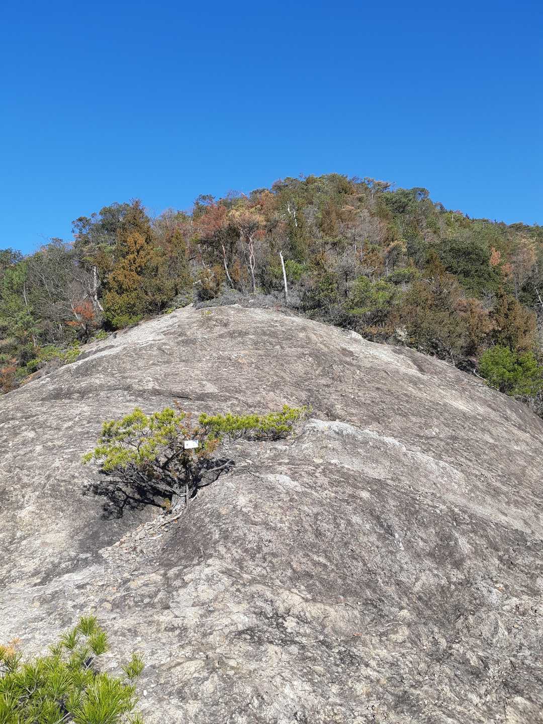馬の背岩場と青空綺麗❗
