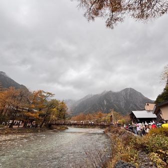 大正池から出発班33名、バスターミナル出発班10名に分かれ、集合14：30まで自由散策