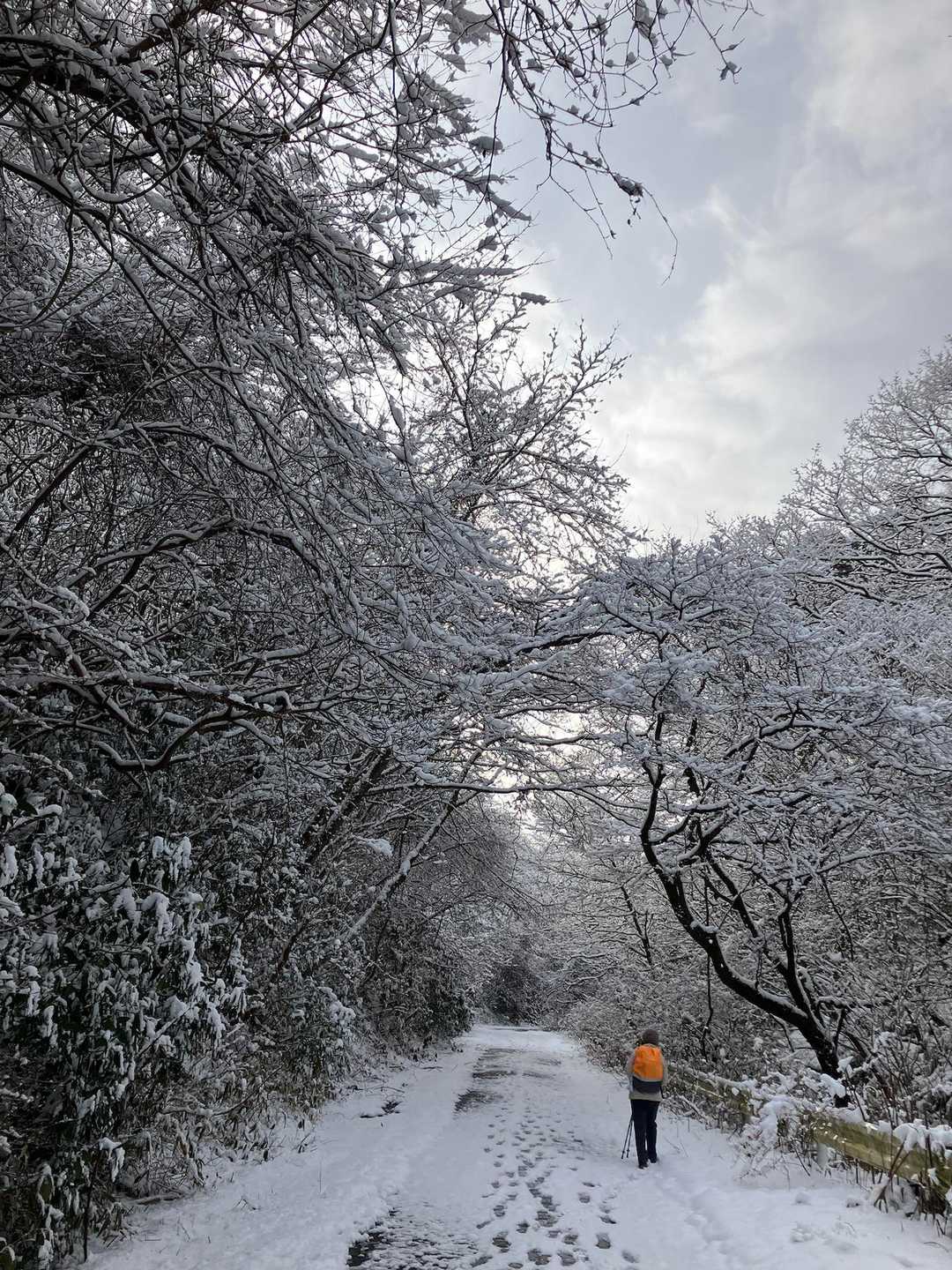 少しづつお天気回復⟡.·
気温も上がってきたせいか
頭上から雪が舞ったり落ちたり…
ザックカバー装着しました